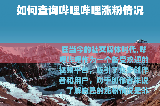 如何查询哔哩哔哩涨粉情况
