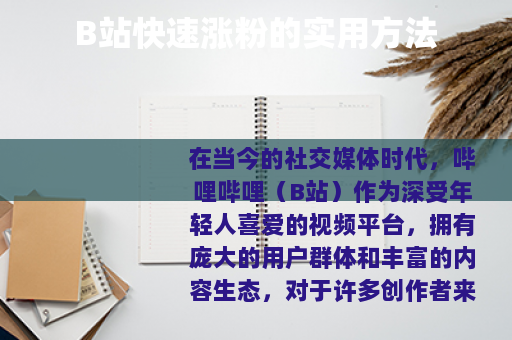 B站快速涨粉的实用方法