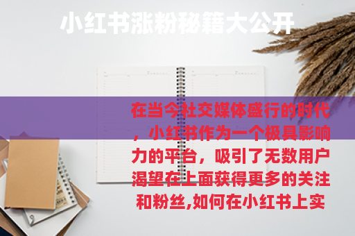 小红书涨粉秘籍大公开