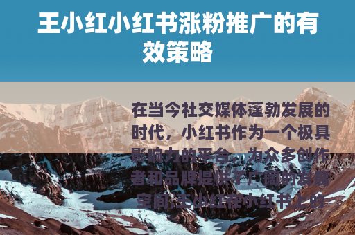 王小红小红书涨粉推广的有效策略