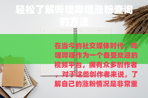 轻松了解哔哩哔哩涨粉查询的方法