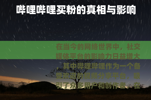 哔哩哔哩买粉的真相与影响