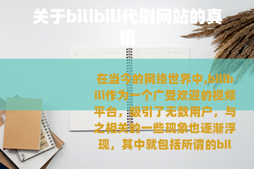 关于bilibili代刷网站的真相