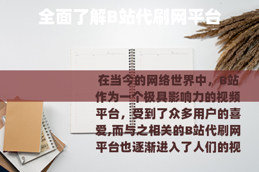 全面了解B站代刷网平台