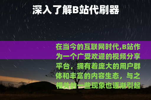 深入了解B站代刷器