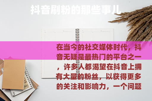 抖音刷粉的那些事儿