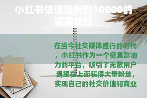 小红书快速涨粉到10000的实用攻略