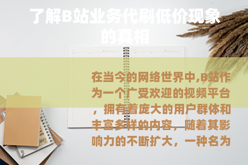 了解B站业务代刷低价现象的真相