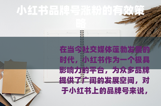 小红书品牌号涨粉的有效策略