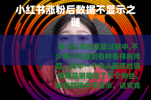 小红书涨粉后数据不显示之谜