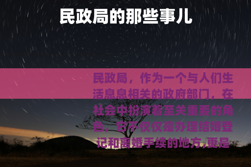 民政局的那些事儿