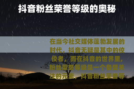 抖音粉丝荣誉等级的奥秘