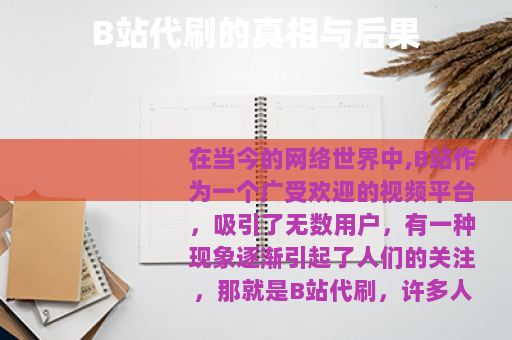 B站代刷的真相与后果