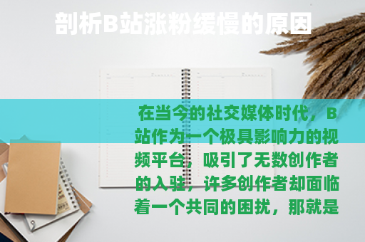 剖析B站涨粉缓慢的原因