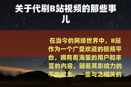 关于代刷B站视频的那些事儿