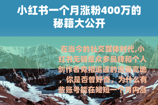 小红书一个月涨粉400万的秘籍大公开