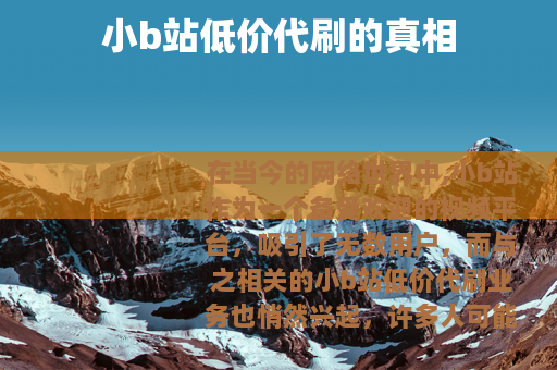 小b站低价代刷的真相