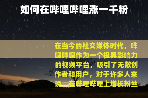 如何在哔哩哔哩涨一千粉