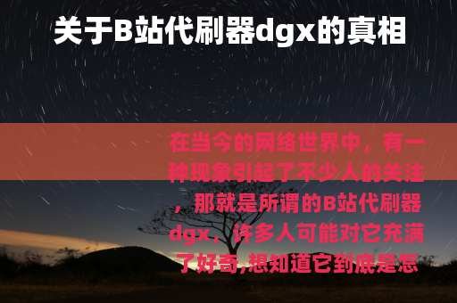关于B站代刷器dgx的真相