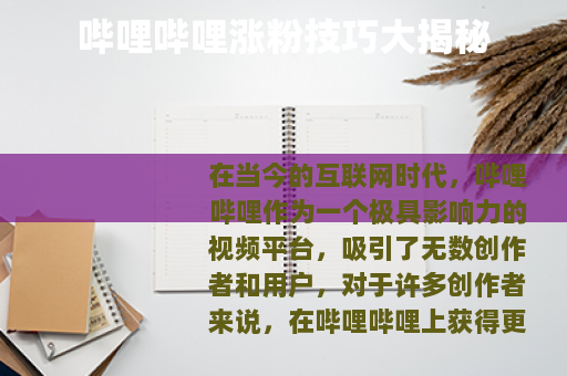 哔哩哔哩涨粉技巧大揭秘