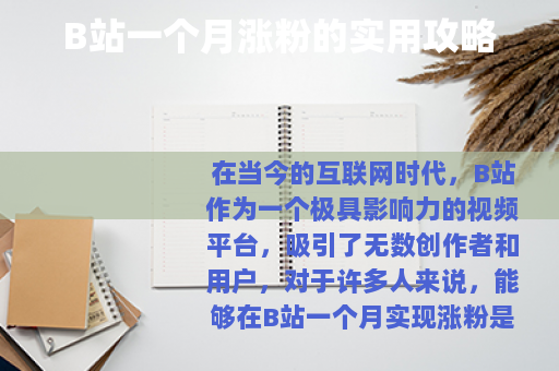 B站一个月涨粉的实用攻略