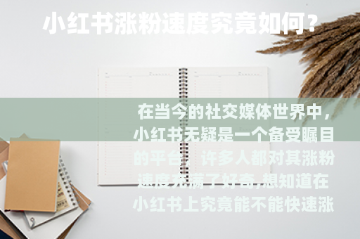 小红书涨粉速度究竟如何？