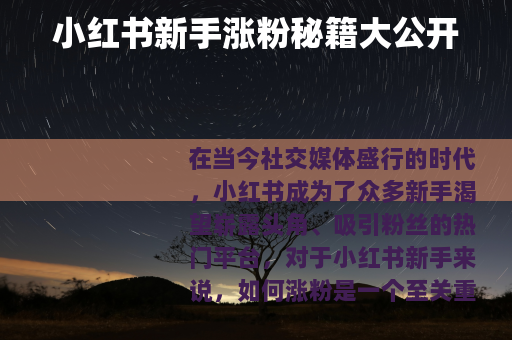 小红书新手涨粉秘籍大公开