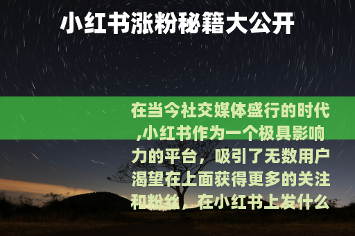 小红书涨粉秘籍大公开