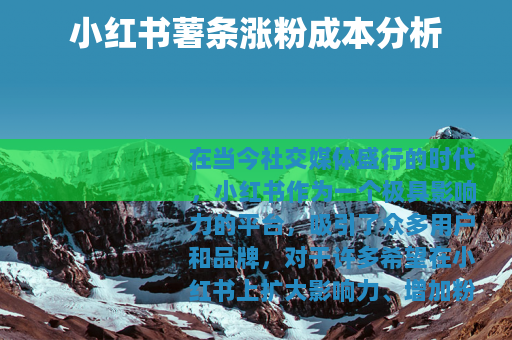 小红书薯条涨粉成本分析