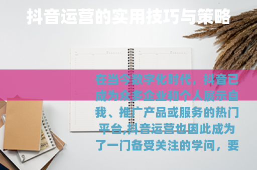 抖音运营的实用技巧与策略