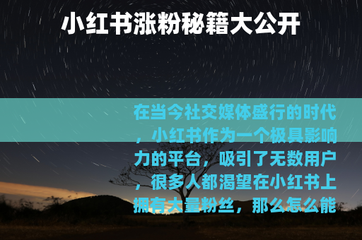 小红书涨粉秘籍大公开