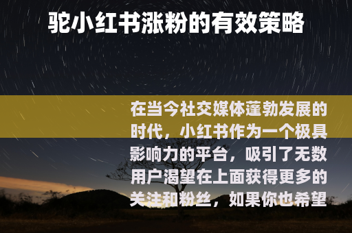 驼小红书涨粉的有效策略