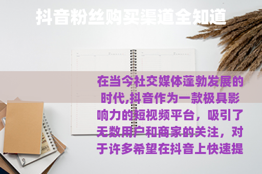 抖音粉丝购买渠道全知道