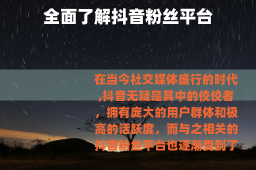 全面了解抖音粉丝平台