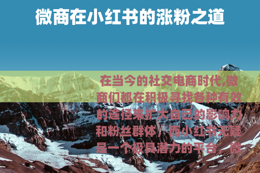 微商在小红书的涨粉之道