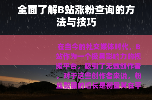 全面了解B站涨粉查询的方法与技巧