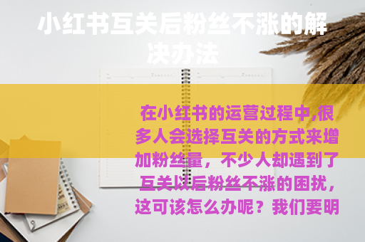小红书互关后粉丝不涨的解决办法