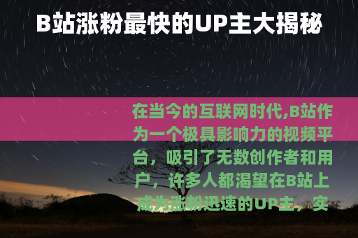 B站涨粉最快的UP主大揭秘