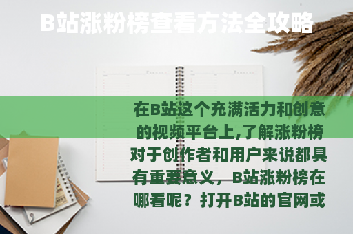 B站涨粉榜查看方法全攻略