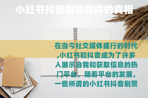 小红书抖音刷赞软件的真相