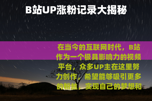 B站UP涨粉记录大揭秘