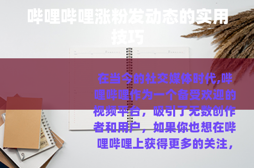 哔哩哔哩涨粉发动态的实用技巧