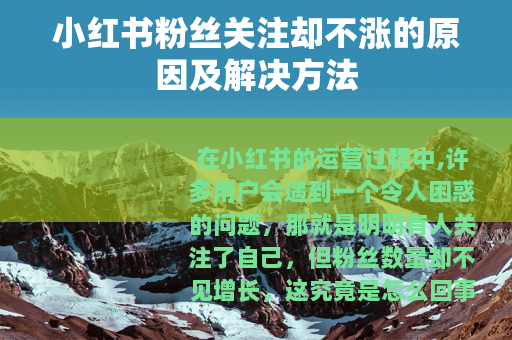 小红书粉丝关注却不涨的原因及解决方法