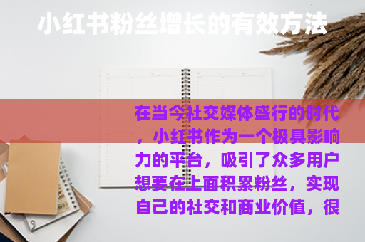 小红书粉丝增长的有效方法