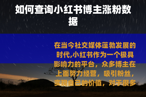 如何查询小红书博主涨粉数据