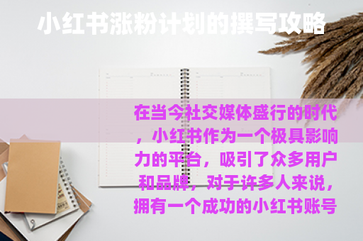 小红书涨粉计划的撰写攻略