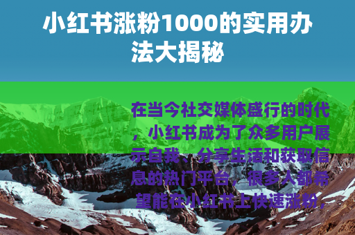 小红书涨粉1000的实用办法大揭秘