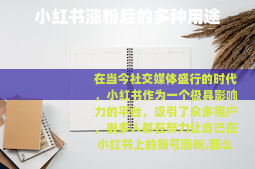 小红书涨粉后的多种用途